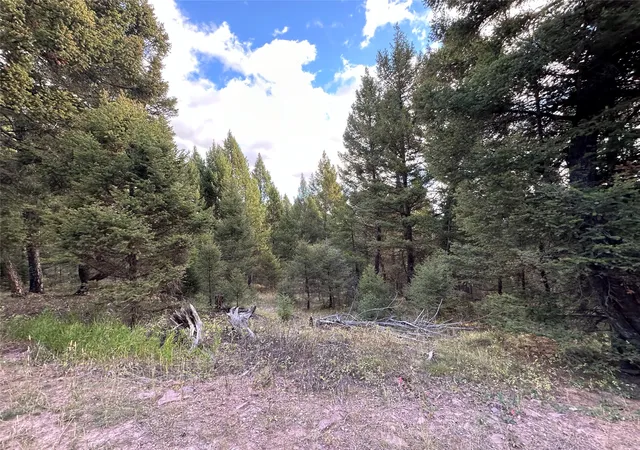 Homes for sale in Philipsburg, MT | Lot 10 Black Pine Meadows Subdivision, Philipsburg, MT 59858 | MLS# 30066981