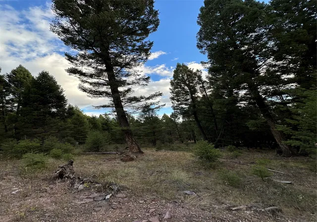 Homes for sale in Philipsburg, MT | Lot 10 Black Pine Meadows Subdivision, Philipsburg, MT 59858 | MLS# 30066981