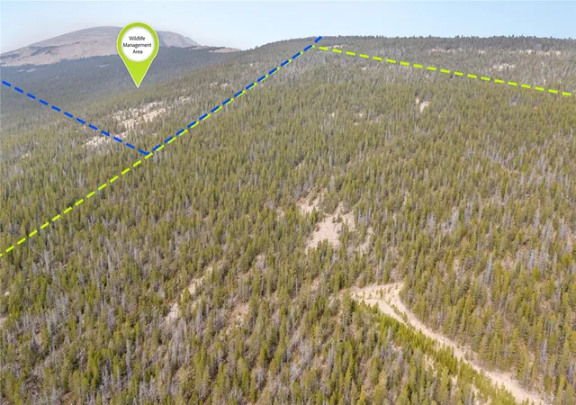 5th image of Nhn Rosa Trl, Anaconda, MT 59711 | MLS# 30067081