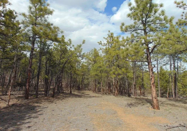 2nd image of 3575 Sweetwater Rd, Helena, MT 59602 | MLS# 30067222