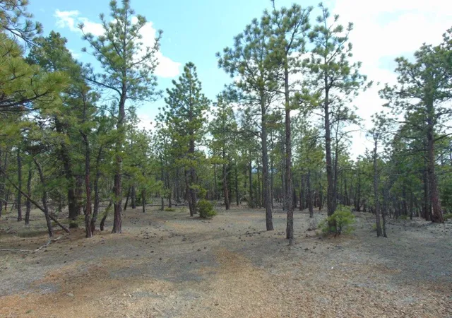 3rd image of 3575 Sweetwater Rd, Helena, MT 59602 | MLS# 30067222