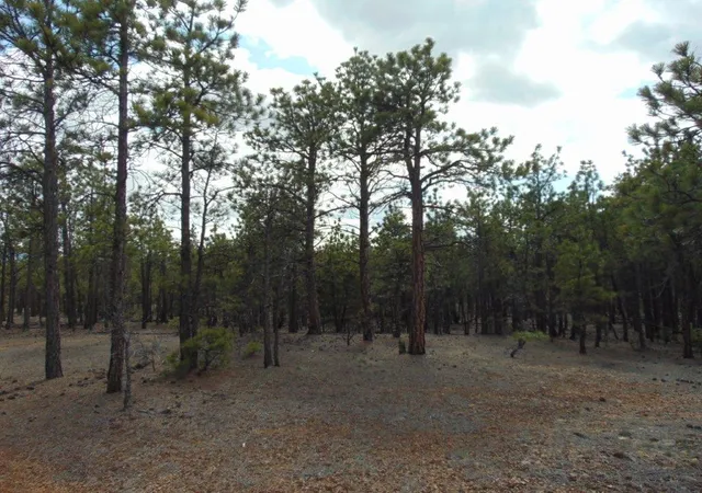4th image of 3575 Sweetwater Rd, Helena, MT 59602 | MLS# 30067222
