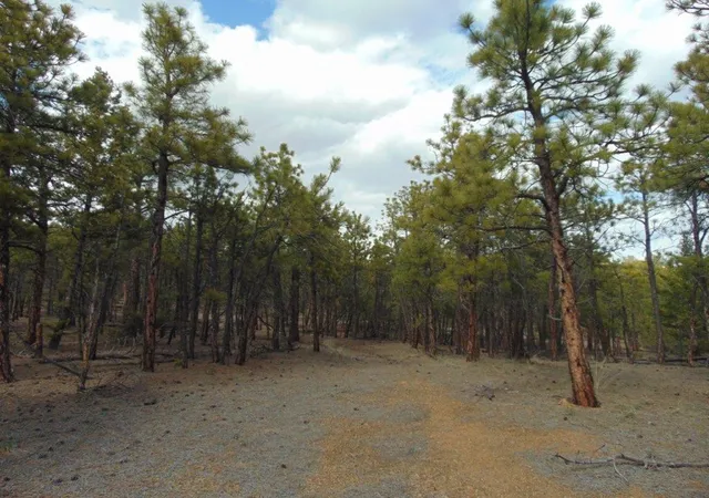 5th image of 3575 Sweetwater Rd, Helena, MT 59602 | MLS# 30067222