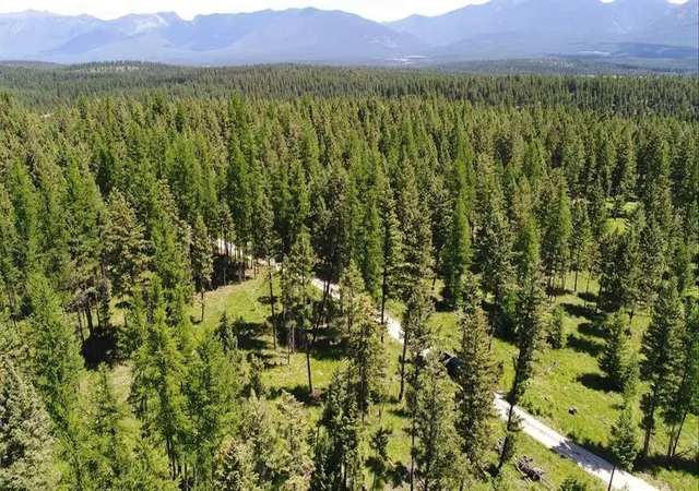 Homes for sale in Fortine, MT | Lot 2 Meadow Springs, Fortine, MT 59918 | MLS# 30067318