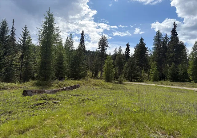 Homes for sale in Fortine, MT | Lot 2 Meadow Springs, Fortine, MT 59918 | MLS# 30067318