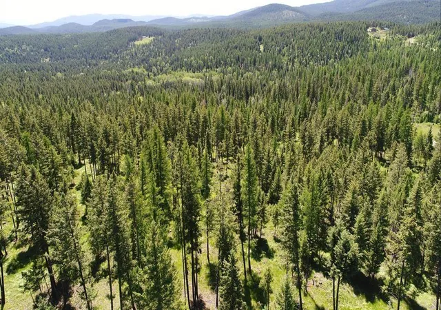 Homes for sale in Fortine, MT | Lot 2 Meadow Springs, Fortine, MT 59918 | MLS# 30067318