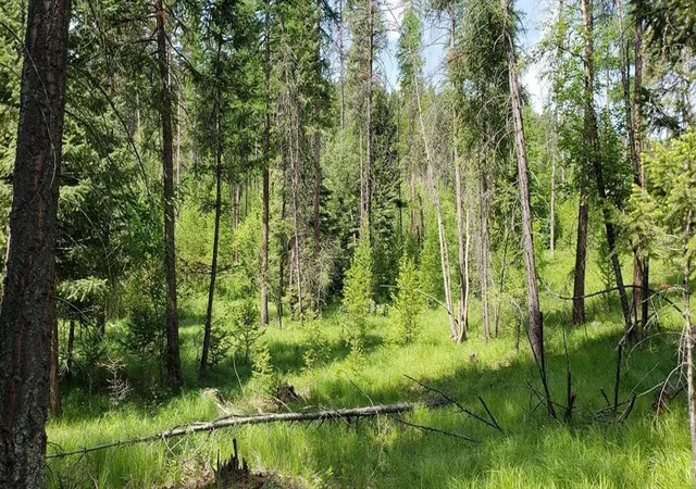 Homes for sale in Fortine, MT | Lot 2 Meadow Springs, Fortine, MT 59918 | MLS# 30067318