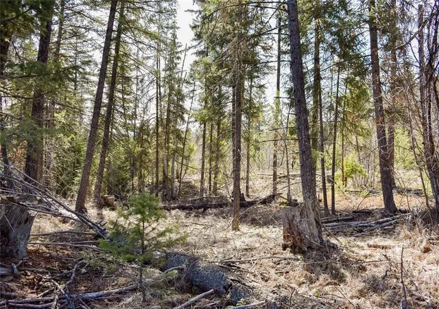 Homes for sale in Fortine, MT | Lot 2 Meadow Springs, Fortine, MT 59918 | MLS# 30067318