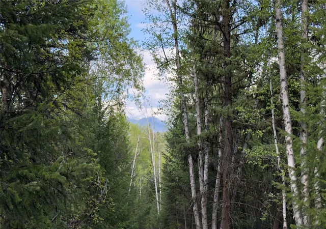 Homes for sale in Eureka, MT | 2096 Marl Lake Creek Rd, Eureka, MT 59917 | MLS# 30067326