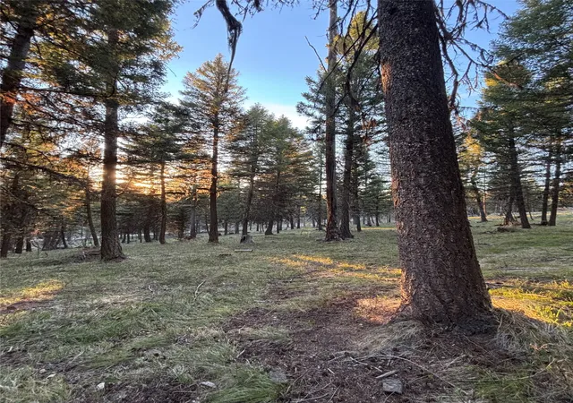 1st image of 139 Montana View Dr, Seeley Lake, MT 59868 | MLS# 30067460