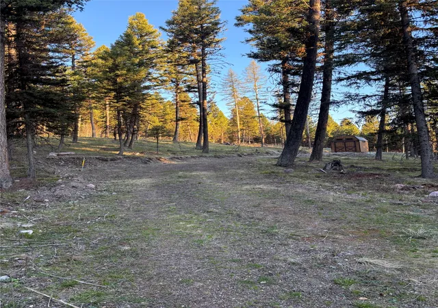 2nd image of 139 Montana View Dr, Seeley Lake, MT 59868 | MLS# 30067460