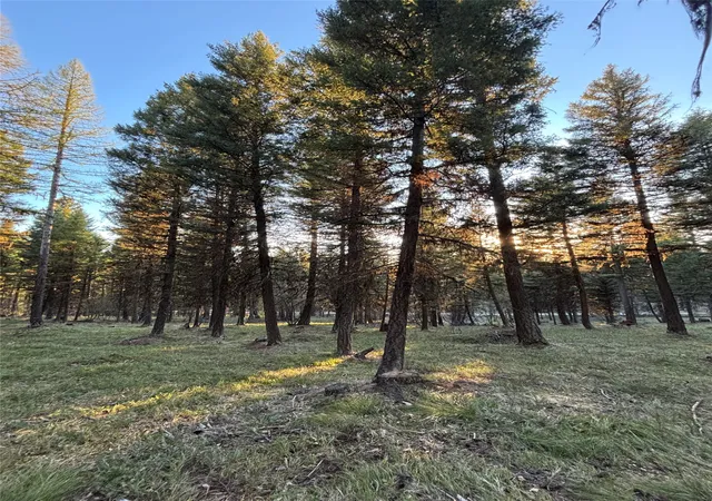 3rd image of 139 Montana View Dr, Seeley Lake, MT 59868 | MLS# 30067460