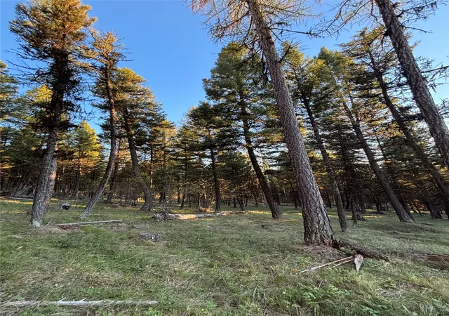4th image of 139 Montana View Dr, Seeley Lake, MT 59868 | MLS# 30067460