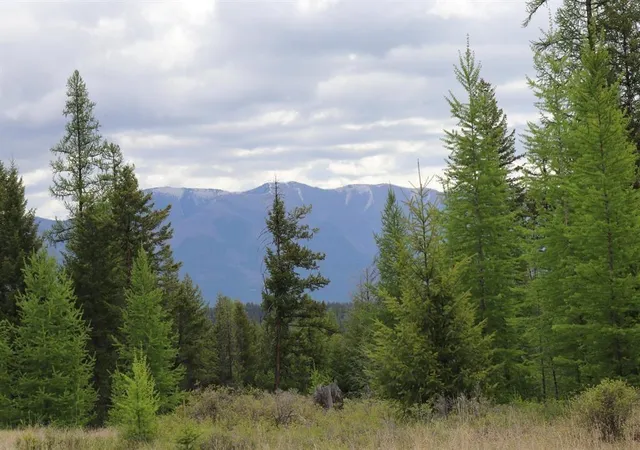 Homes for sale in Fortine, MT | Lot 1a Meadow Springs, Fortine, MT 59918 | MLS# 30067492