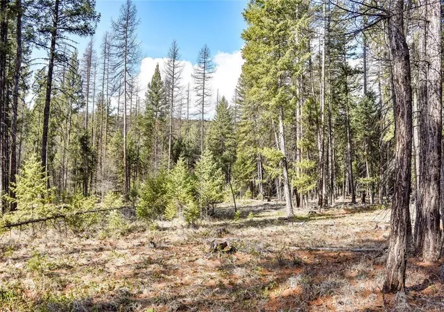 Homes for sale in Fortine, MT | Lot 1a Meadow Springs, Fortine, MT 59918 | MLS# 30067492