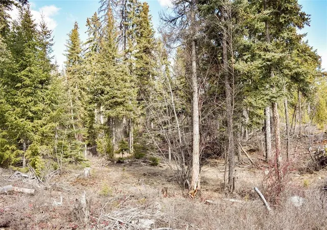 Homes for sale in Fortine, MT | Lot 1A Meadow Springs, Fortine, MT 59918 | MLS# 30067492