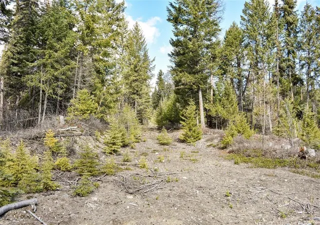 Homes for sale in Fortine, MT | Lot 1A Meadow Springs, Fortine, MT 59918 | MLS# 30067492