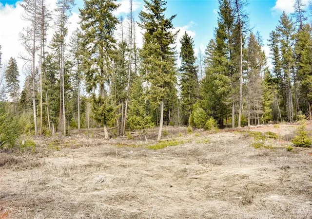 Homes for sale in Fortine, MT | Lot 1A Meadow Springs, Fortine, MT 59918 | MLS# 30067492