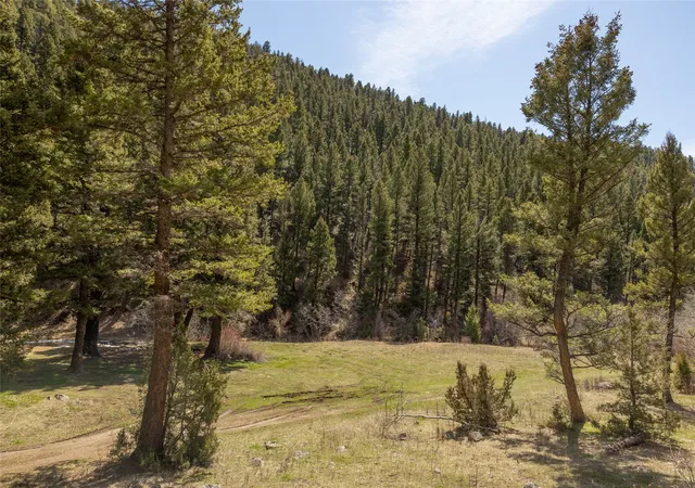 Homes for sale in Boulder, MT | Tbd Elkhorn Rd, Boulder, MT 59632 | MLS# 30066254
