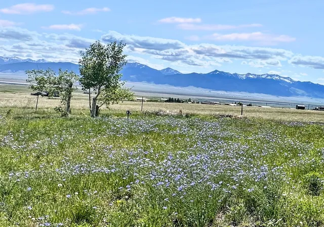 Homes for sale in Ennis, MT | 155 Two Bumps Rd, Ennis, MT 59729 | MLS# 30067431