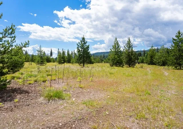 17th image of 281 Daisy Ln, Seeley Lake, MT 59868 | MLS# 30066982