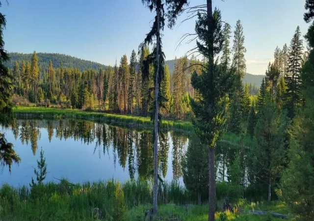 1st image of 281 Daisy Ln, Seeley Lake, MT 59868 | MLS# 30066982