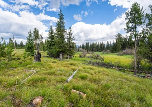 3rd image of 281 Daisy Ln, Seeley Lake, MT 59868 | MLS# 30066982
