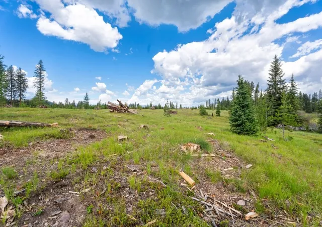 4th image of 281 Daisy Ln, Seeley Lake, MT 59868 | MLS# 30066982
