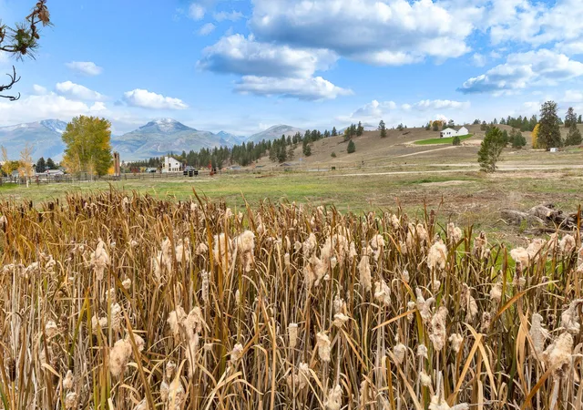 41st image of 1071 Rugged Ridge Rd, Stevensville, MT 59870 | MLS# 30067608