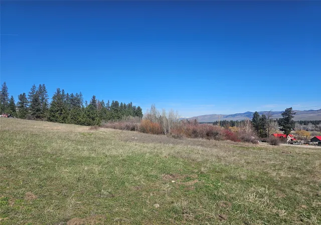 Homes for sale in Florence, MT | 5833 Old Us Hwy 93, Florence, MT 59833 | MLS# 30067640