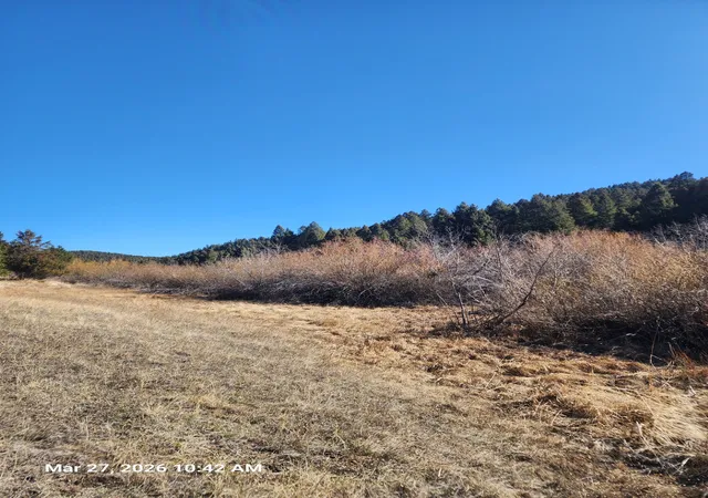 29th image of 900 Flint Creek Rd, Ramsay, MT 59748 | MLS# 30067643