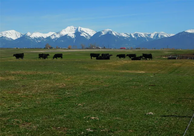 Homes for sale in Charlo, MT | Nhn Hwy 212, Charlo, MT 59824 | MLS# 30067579