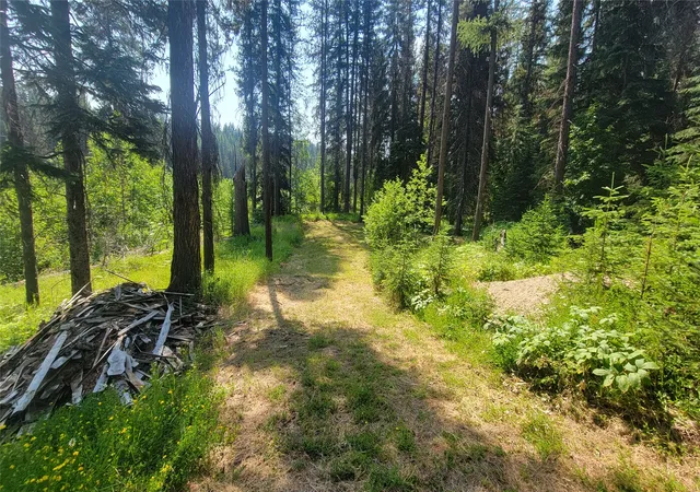 Homes for sale in Yaak, MT | 1442 & 1426 River View Dr, Yaak, MT 59935 | MLS# 30067109