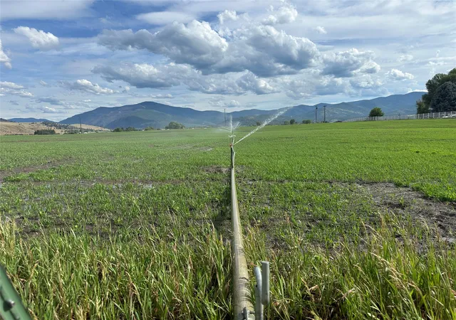 Photo 1 of Land for sale at Nhn Lower Lynch Crk Rd, Plains, MT 59859 | MLS# 30067763 | Listing updated on 2026-07-01