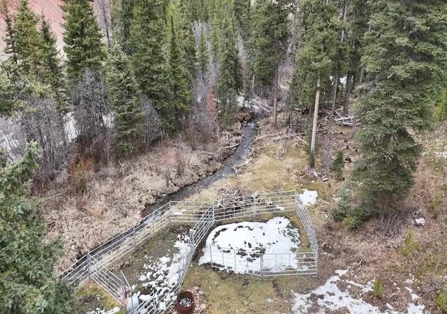 Homes for sale in Philipsburg, MT | 614 Wyman Gulch Rd, Philipsburg, MT 59858 | MLS# 30067667