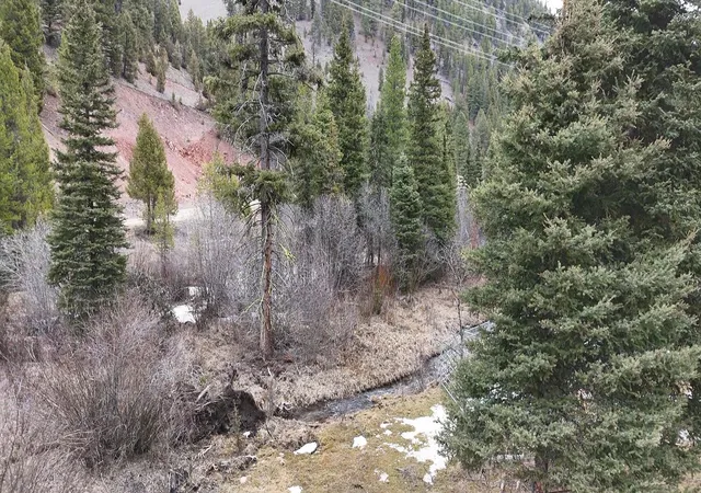 Homes for sale in Philipsburg, MT | 614 Wyman Gulch Rd, Philipsburg, MT 59858 | MLS# 30067667
