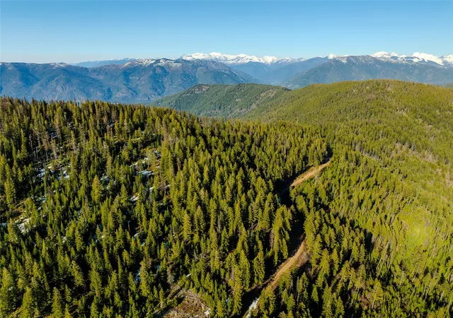 Homes for sale in Noxon, MT | Nhn Pilgrim Creek Rd, Noxon, MT 59853 | MLS# 30067810