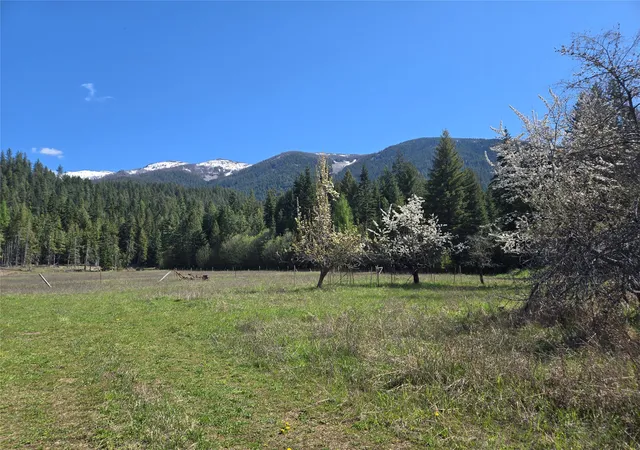 Homes for sale in Heron, MT | 8 Dead Horse Lane, Heron, MT 59844 | MLS# 30067902