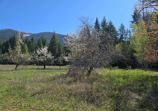 Homes for sale in Heron, MT | 8 Dead Horse Lane, Heron, MT 59844 | MLS# 30067902