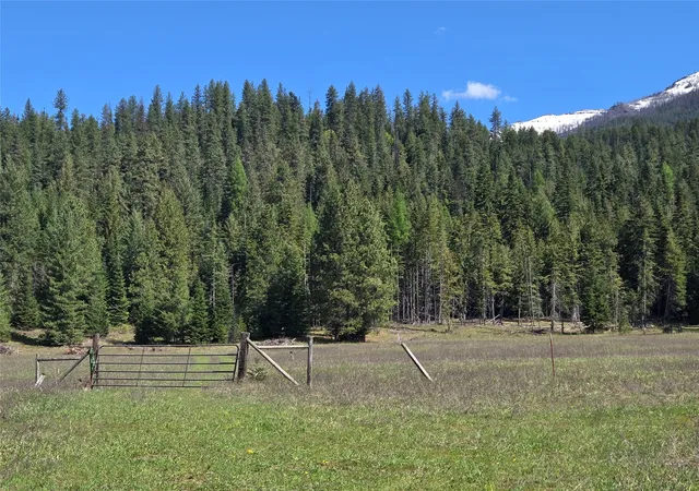 Homes for sale in Heron, MT | 8 Dead Horse Lane, Heron, MT 59844 | MLS# 30067902