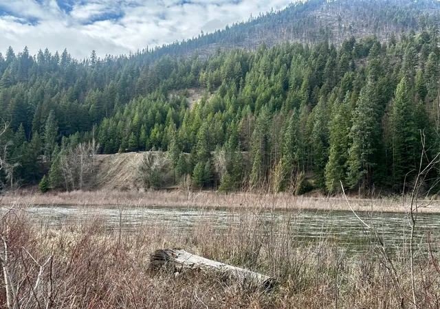 Homes for sale in Superior, MT | 1595 River Bend Rd, Superior, MT 59872 | MLS# 30067812