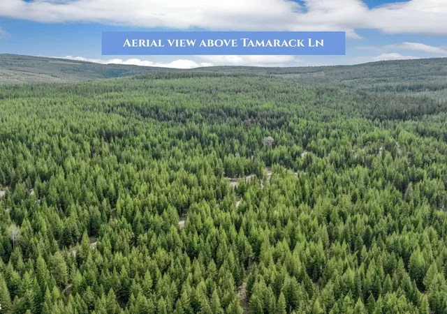 Homes for sale in Rexford, MT | Lot 11 Tamarack Ln, Rexford, MT 59930 | MLS# 30067915