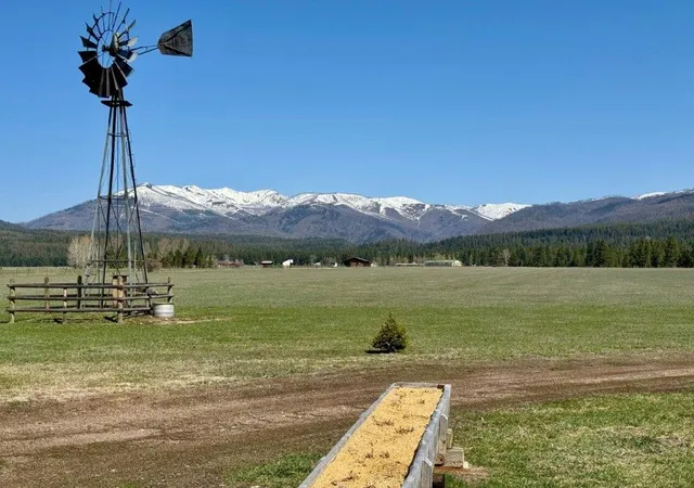 Homes for sale in Ovando, MT | 7510 Woodworth Rd, Ovando, MT 59854 | MLS# 30067993