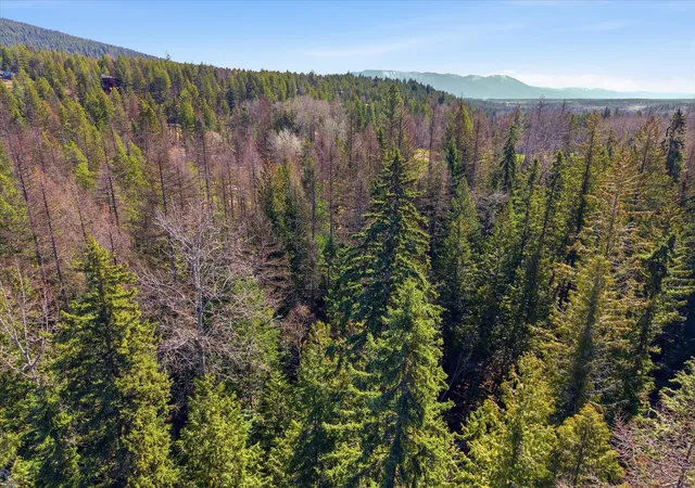 16th image of 107 Kinnikinnik Cir, Whitefish, MT 59937 | MLS# 30067722