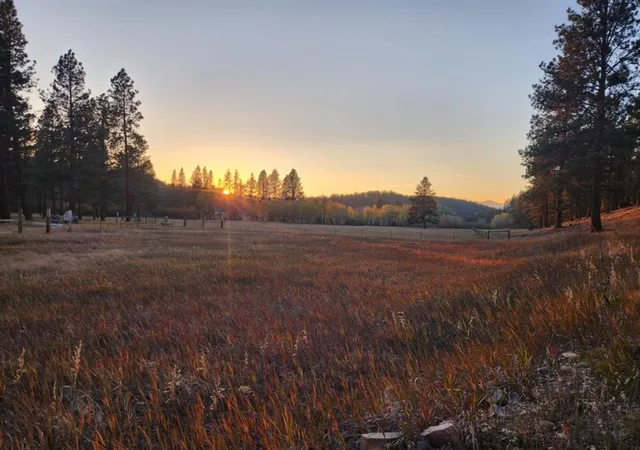 48th image of 35322 Washoe Rd, Bonner, MT 59823 | MLS# 30068064