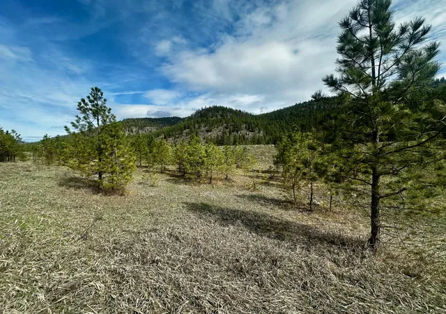 Homes for sale in Superior, MT | Nka River Bend Rd N, Superior, MT 59872 | MLS# 30068088
