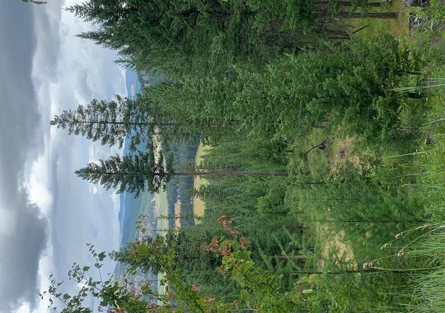1st image of Tr 11 Whitetail Ridge, Kila, MT 59920 | MLS# 30068096