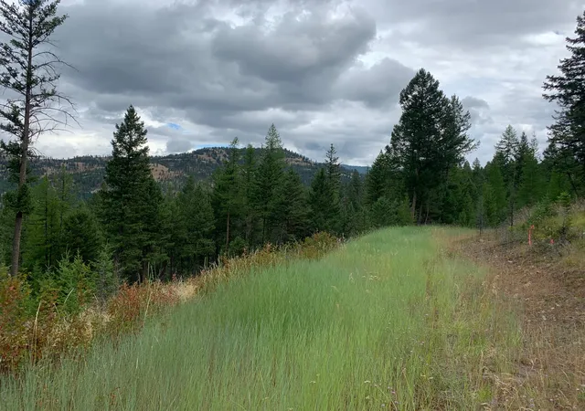 2nd image of Tr 11 Whitetail Ridge, Kila, MT 59920 | MLS# 30068096