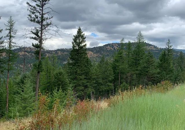 3rd image of Tr 11 Whitetail Ridge, Kila, MT 59920 | MLS# 30068096