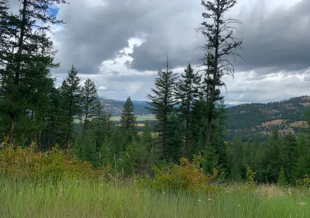 4th image of Tr 11 Whitetail Ridge, Kila, MT 59920 | MLS# 30068096